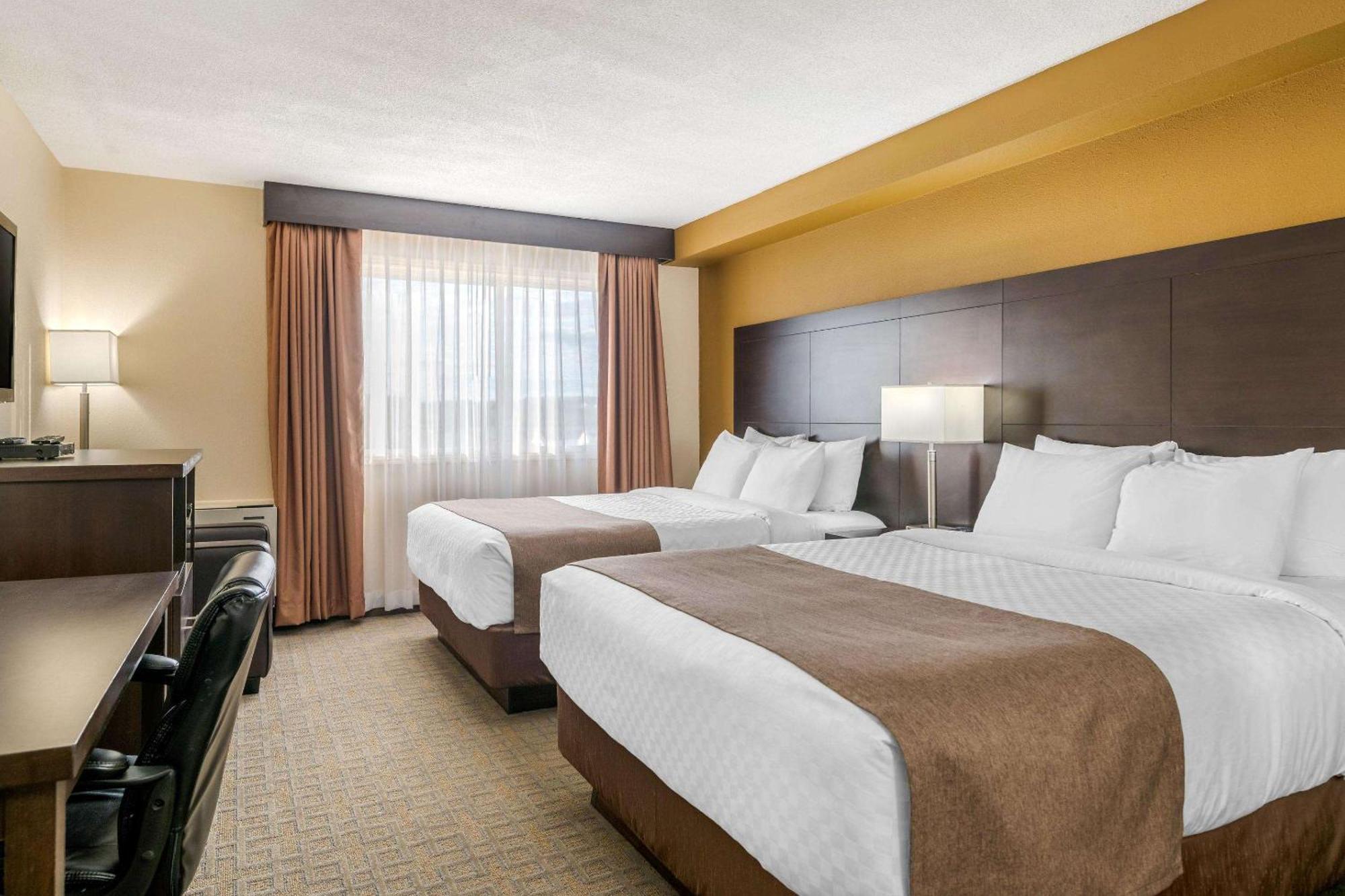 Quality Inn & Suites Bathurst Kamer foto