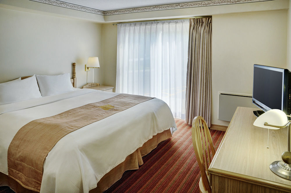 Quality Inn & Suites Bathurst Buitenkant foto
