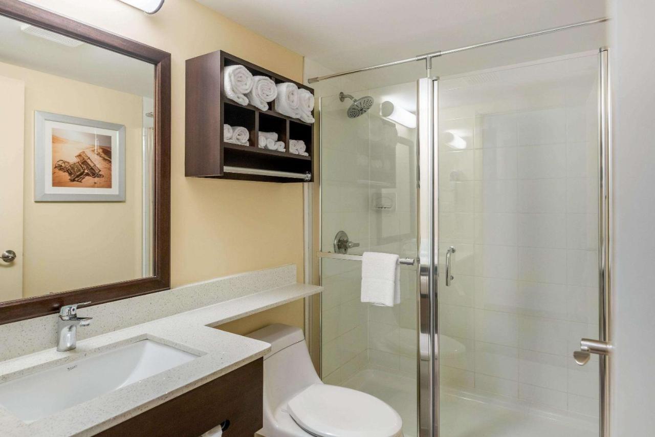 Quality Inn & Suites Bathurst Buitenkant foto