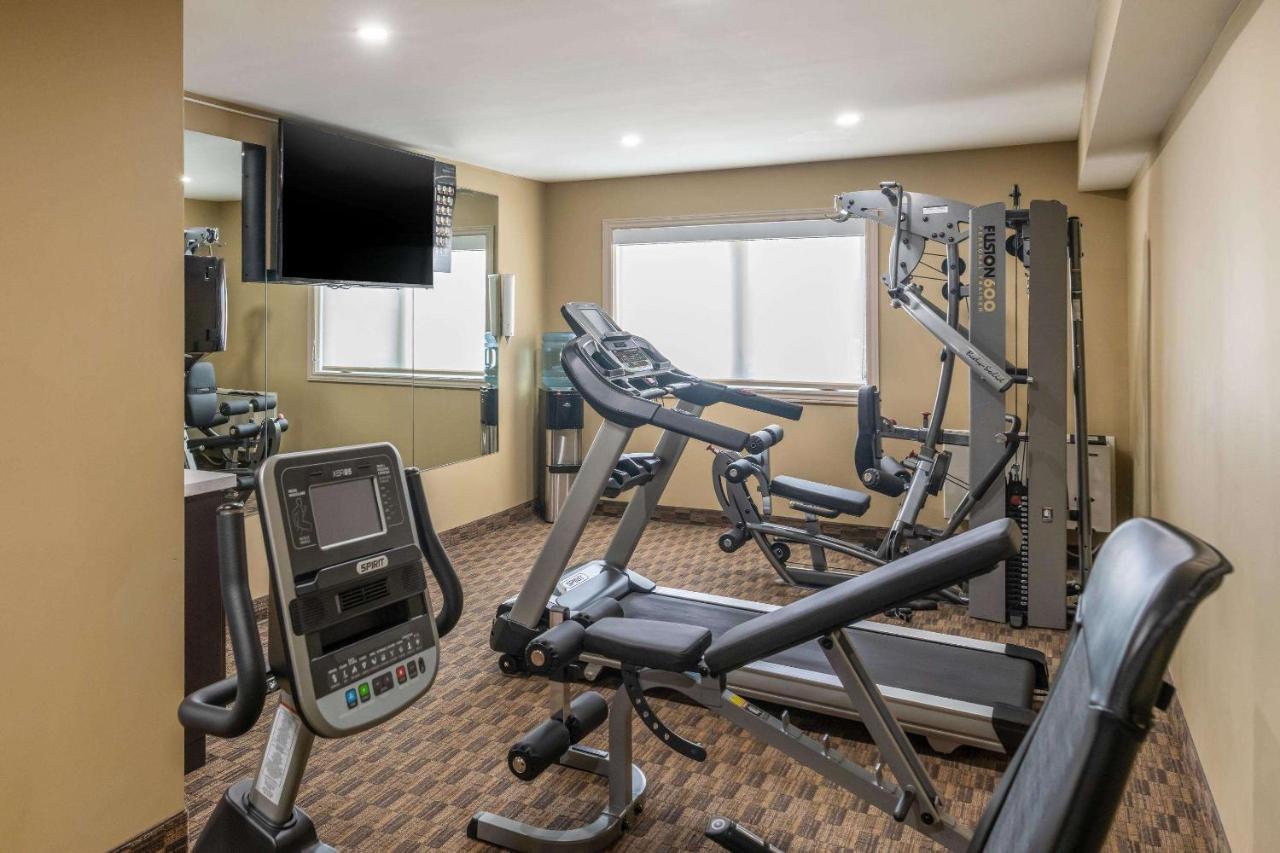 Quality Inn & Suites Bathurst Buitenkant foto