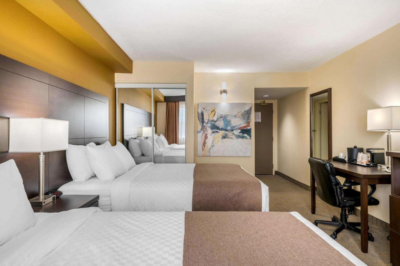 Quality Inn & Suites Bathurst Buitenkant foto