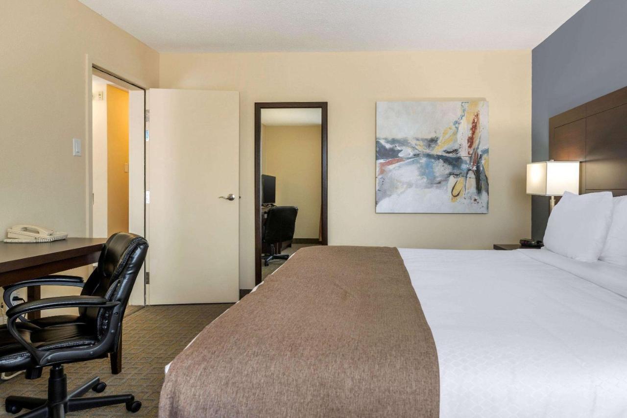 Quality Inn & Suites Bathurst Buitenkant foto