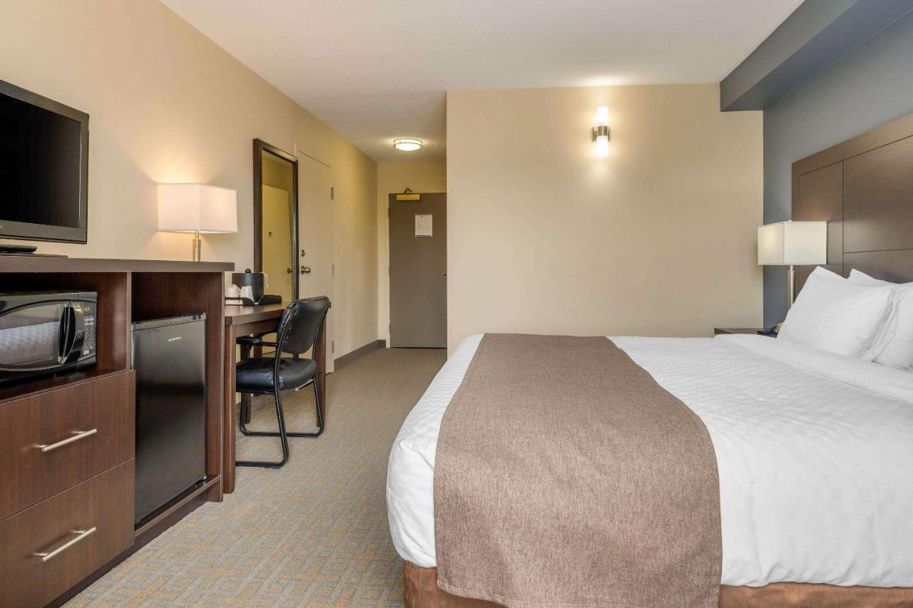 Quality Inn & Suites Bathurst Buitenkant foto